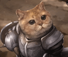 a cat is wearing a knight 's armor and shield