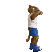 a stuffed animal wearing a white shirt and blue shorts is standing on its hind legs