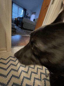 a black dog standing on a blue and white chevron rug