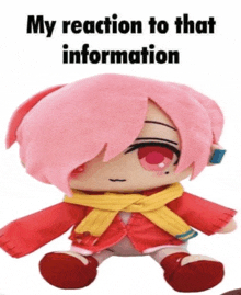 a stuffed doll with pink hair and a yellow scarf says " my reaction to that information " on the bottom