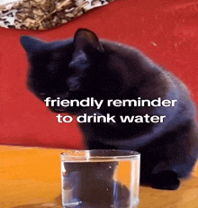 a black cat is sitting next to a glass of water with the words friendly reminder to drink water