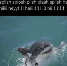 a picture of a shark with the caption " splish splish splish splish splish splish ha "