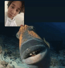 a picture of a fish and a picture of a boy