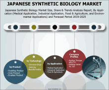 japanese synthetic biology market size share & trends analysis report by application medical application industrial application food & agriculture mental applications forecast period 2019-2025