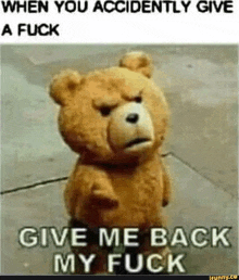 a teddy bear is standing on the sidewalk with the words `` when you accidently give a fuck give me back my fuck '' .