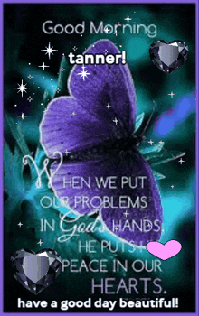 a purple butterfly is surrounded by hearts and the words good morning tanner