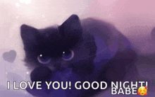 a picture of a black cat with the words i love you good night babe