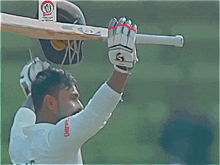 a painting of a man holding a bat with a sticker on his helmet that says ' cricket ' on it