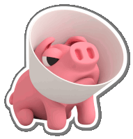 a pink pig with a cone around its head