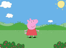 a peppa pig cartoon character stands in a field