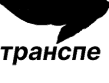 a black and white silhouette of a whale with the word transpe in white letters on a white background .