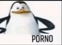 a penguin is standing in front of a white background with the word porno written on it .