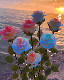 a bunch of flowers with water drops on them