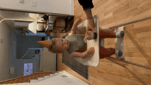 a baby wearing a party hat is sitting in a high chair with a cupcake