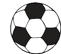 a black and white soccer ball is sitting on a white surface .