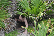 a shirtless man is crawling through a lush green jungle