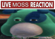 a green stuffed animal with a blue spot on its face is sitting under a sign that says live moss reaction .