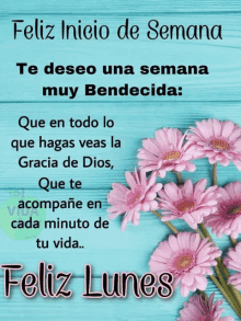 a blue background with pink flowers and the words feliz lunes on it