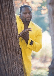 a man in a yellow jacket is peeking around a tree .