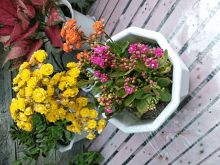 yellow and pink flowers in a white pot on a pink table