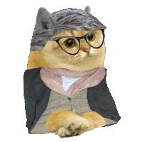 a cat wearing glasses and a scarf is sitting on a white background