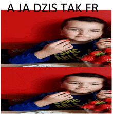 a boy eating strawberries with the words aja dzis tak fr written above him