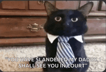 a black cat is wearing a tie and collar