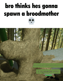 a screenshot of a video game that says bro thinks he 's gonna spawn a broodmother i summon you