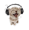 a cat wearing headphones is yawning and looking at the camera .