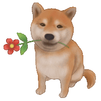 a dog holding a flower in its mouth