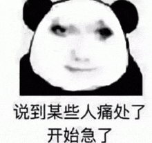 a panda bear is making a funny face in chinese .