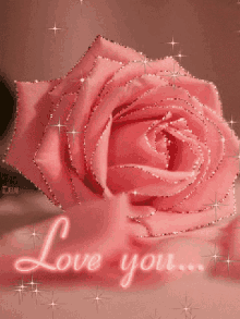 a pink rose with the words " love you " written below it