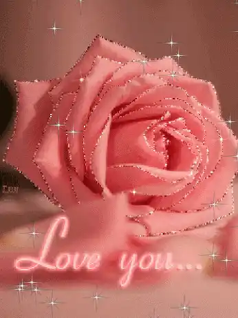 a pink rose with the words " love you " written below it