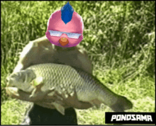 a man is holding a large fish with a pink bird on his head and the word pondsama below him