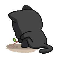 a drawing of a black cat holding a plant with the letter o on it