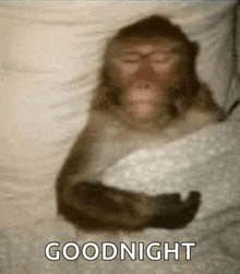 a monkey is sleeping in a bed with the words `` goodnight '' written on the bottom of the image .