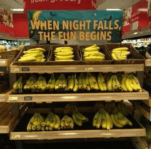 a sign that says when night falls the fun begins hangs above a display of bananas