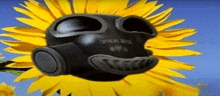 a black object with a face on it is floating in the air next to a sunflower .