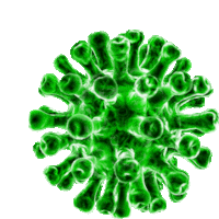 a green virus on a white background that looks like a crab