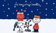 snoopy and charlie brown standing next to a christmas tree with the words " its the little things " above them