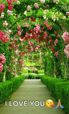 a picture of a garden with the words i love you