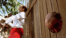 a man in red pants is standing next to a wooden fence with a ball coming out of it .