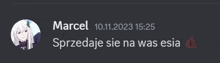 a screenshot of a chat with marcel dated 10.11.2023