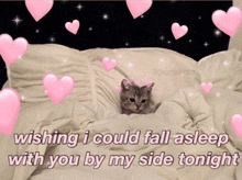 a cat is laying on a bed with pink hearts and wishing i could fall asleep with you