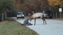 a man kneeling on the side of the road with a deer and a speed limit sign in the background