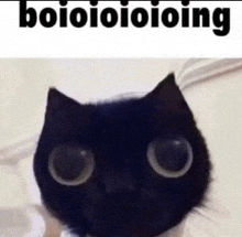 a close up of a black cat with big eyes and the words boioioioioing below it