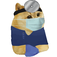 a doge wearing a mask and stethoscope on its head