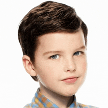 a young boy with brown hair and blue eyes is wearing a plaid shirt and looking at the camera .