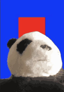 a stuffed panda bear against a blue background with a red square in the background