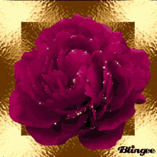 a close up of a purple flower with the word blingee on the bottom right